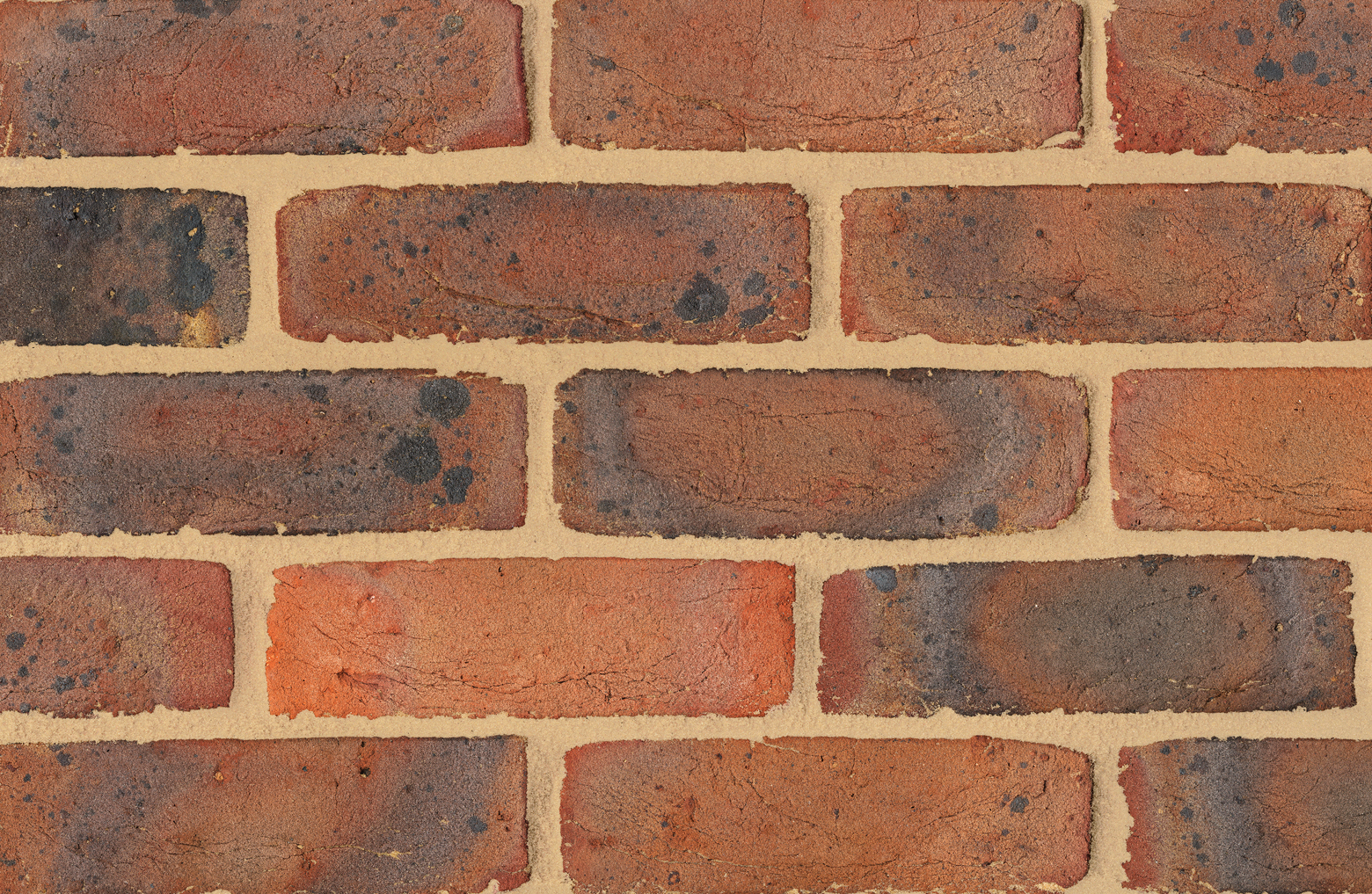 Ibstock Place School, London